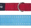 Rogz For Dogs Fanbelt Multipurpose Lijn Turquoise -Honden Benodigdheden Winkel image 90