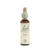 Bach Hornbeam (Haagbeuk) - 20 Ml -Honden Benodigdheden Winkel informatie over bach hornbeam haagbeuk 20 ml bestellen medpets nl 3 1359385425 2497