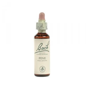 Bach Hornbeam (Haagbeuk) - 20 Ml