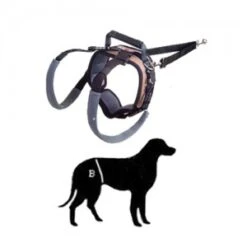 PetSafe Solvit Carelift Achterhand - Small (rood) 7 PetSafe Solvit Carelift Achterhand - Small (rood) -Honden Benodigdheden Winkel product carelift achterhand small rood medpets 3 1449066491 19372