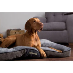 Scruffs Chester Mattress - L - Chocolade -Honden Benodigdheden Winkel scruffs chester hondenkussen
