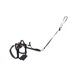 PetSafe Solvit Carelift Achterhand - Small (rood)