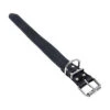 Tijssen Halsband & Lijn Vetleer - Zwart - Halsband - 35 Mm X 45 Cm -Honden Benodigdheden Winkel tijssen halsband lijn vetleer zwart halsband 35 mm x 45 cm 64226 0300 none