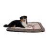 Trixie Alma Hondenkussen - 80 X 60 Cm 1 Trixie Alma Hondenkussen - 80 X 60 Cm -Honden Benodigdheden Winkel trixie alma hondenkussen 80 x 60 cm 56604 0300 none